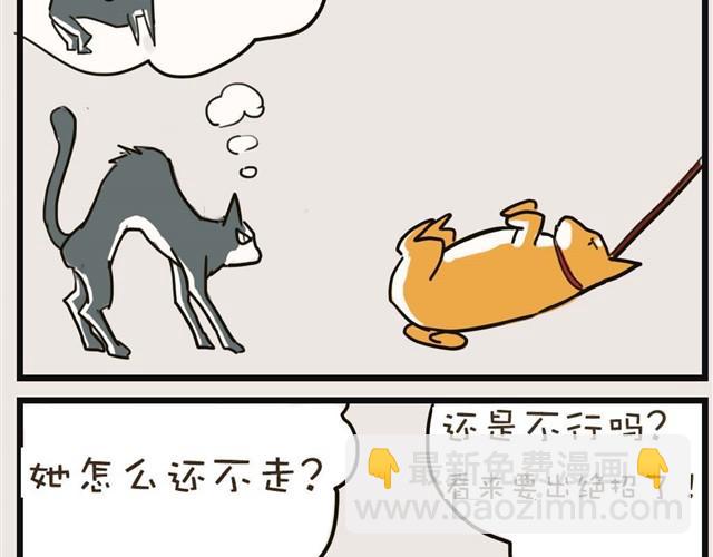 安妮学会握手了！30