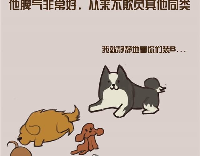 真是越来越活泼了呢29
