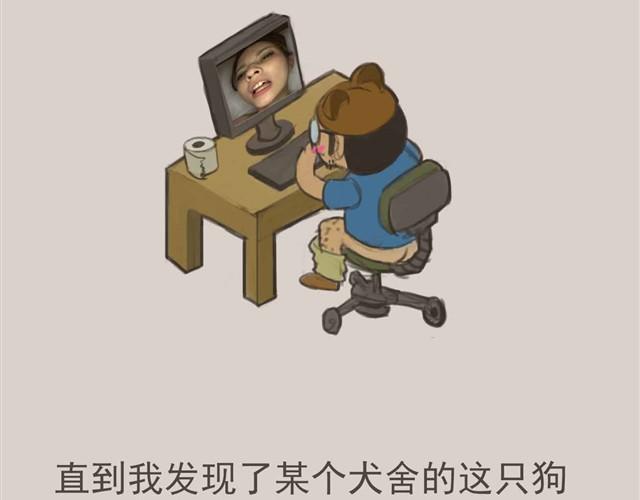 我是大熊，我的柴犬叫安妮7