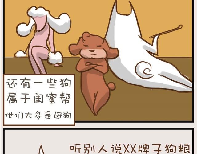 想和大家一起玩5