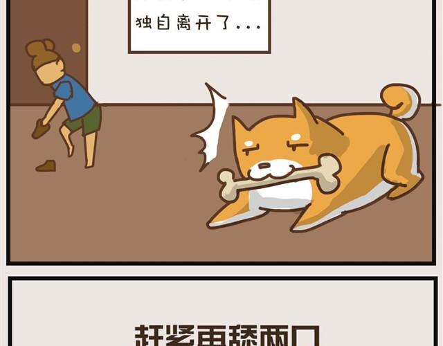 大熊你为什么不带我出门！6