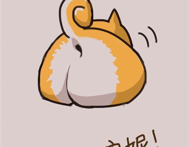 狗狗的喜好真是让人受不了21