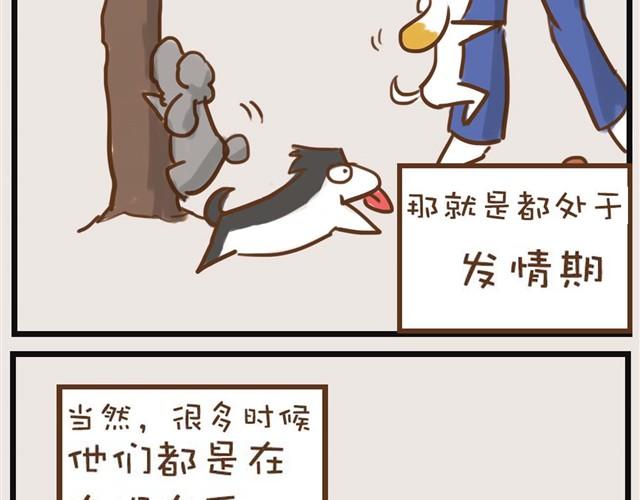 想和大家一起玩9