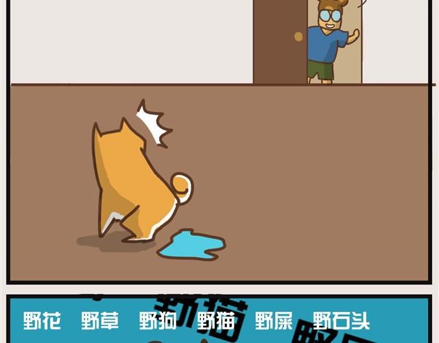 大熊你为什么不带我出门！4
