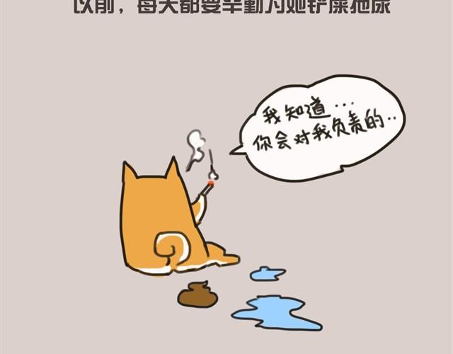 我还是喜欢尿在原来的客厅6
