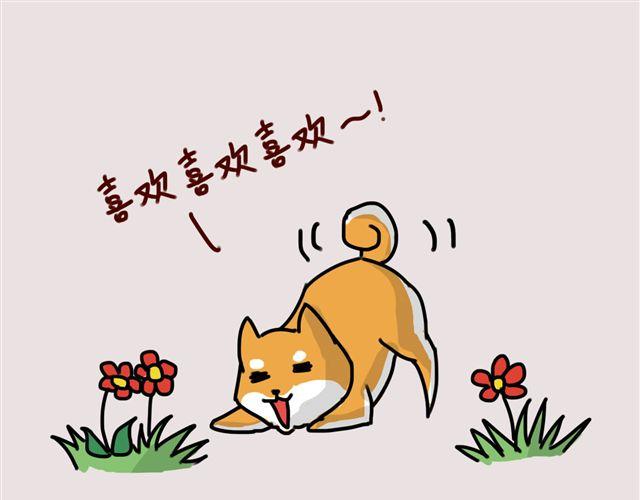 狗狗的喜好真是让人受不了25