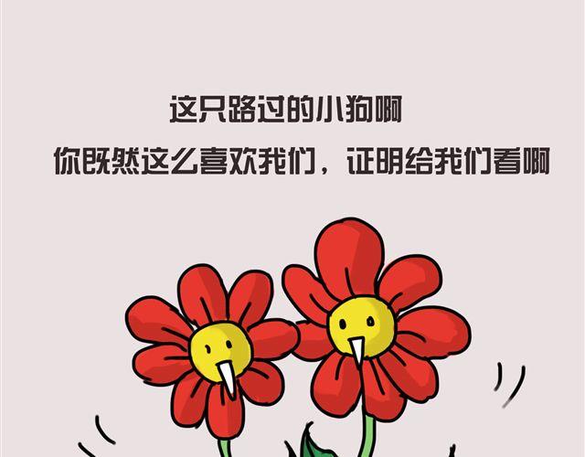 狗狗的喜好真是让人受不了26