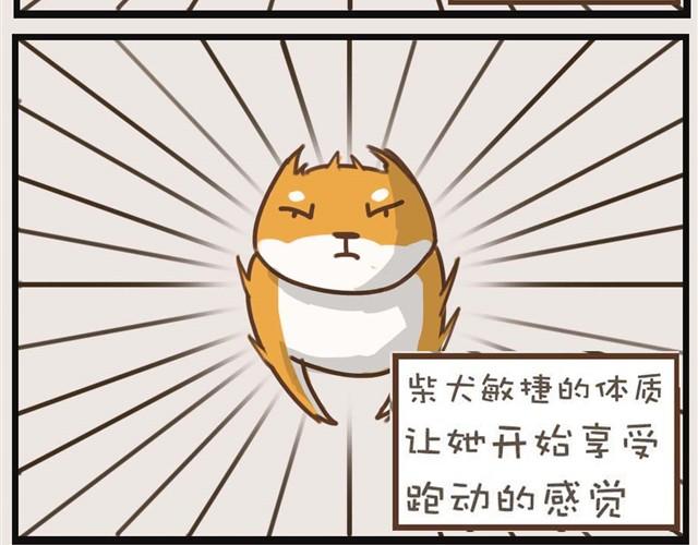 想和大家一起玩40