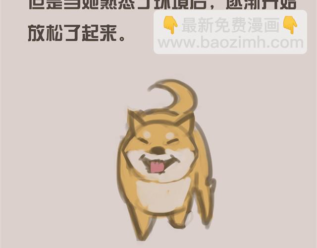 我是大熊，我的柴犬叫安妮42