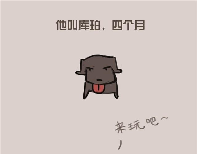 真是越来越活泼了呢13