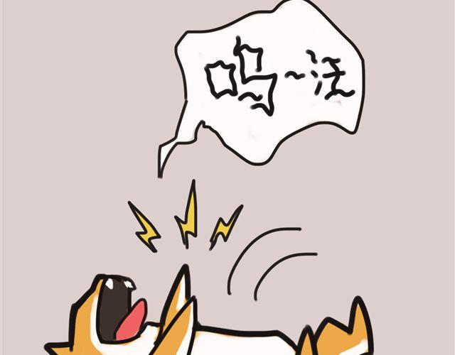 一只沉默的狗15