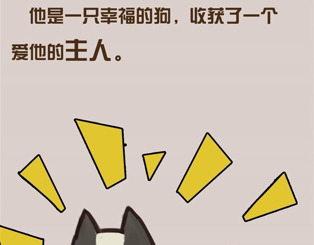 真是越来越活泼了呢38