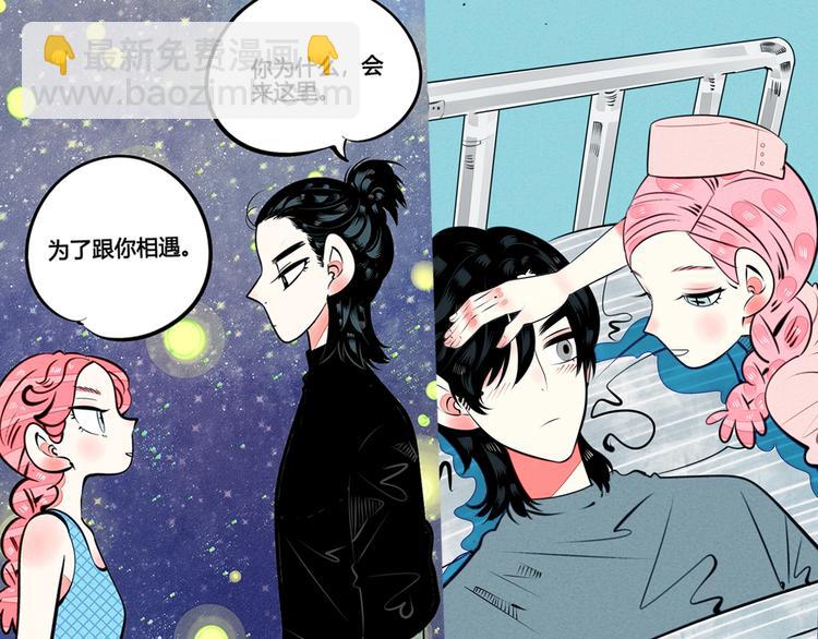 治愈成人世界的失落29