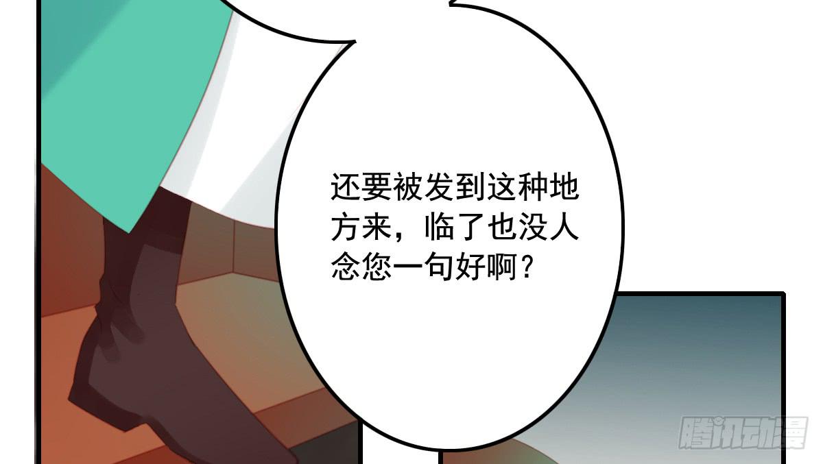 封景13