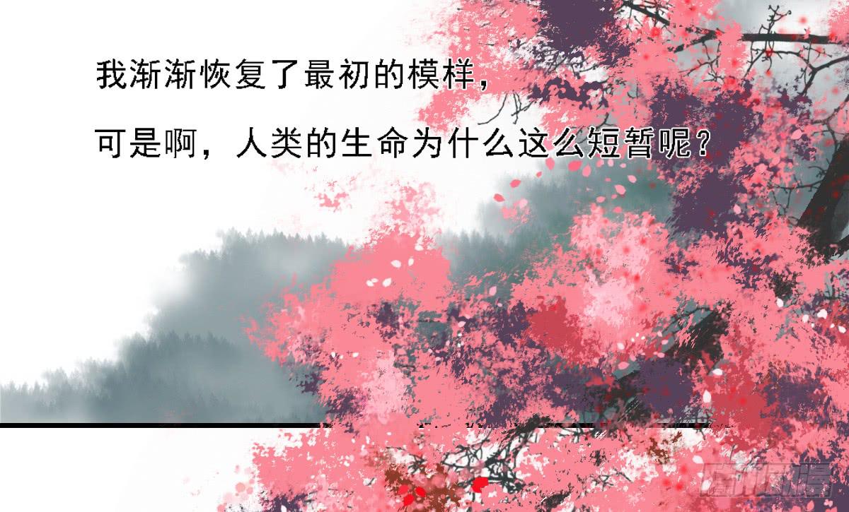 封景582