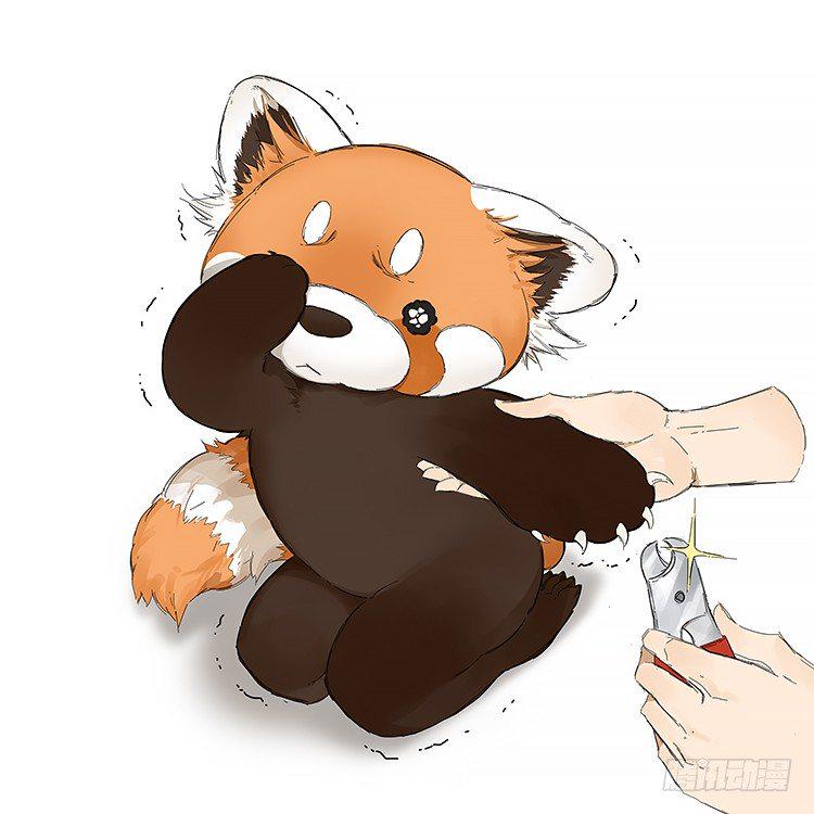 画了一组小熊猫1