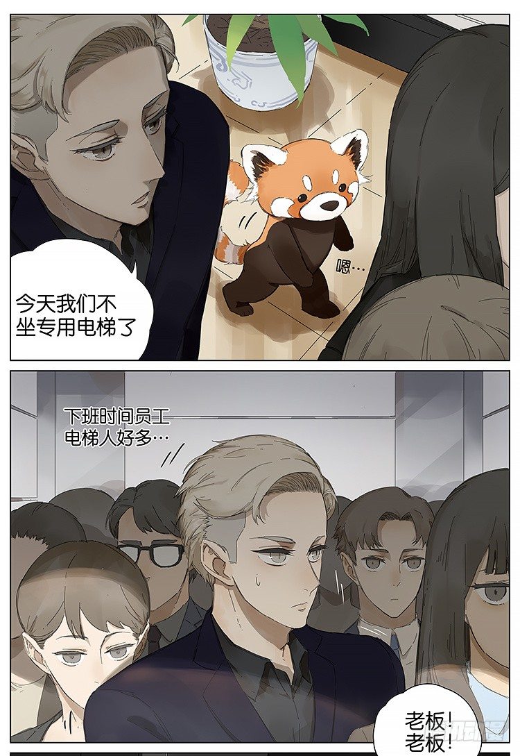 公司9