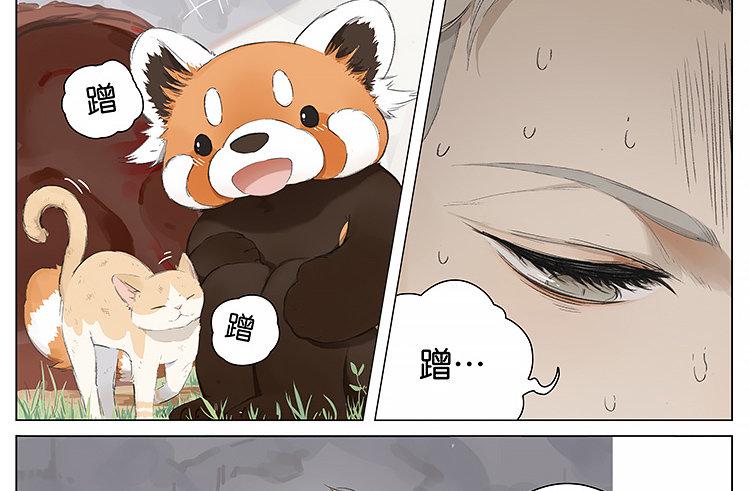 流浪猫11