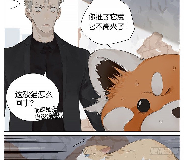 流浪猫14