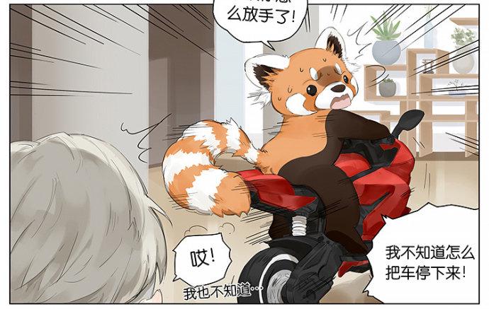 开车13
