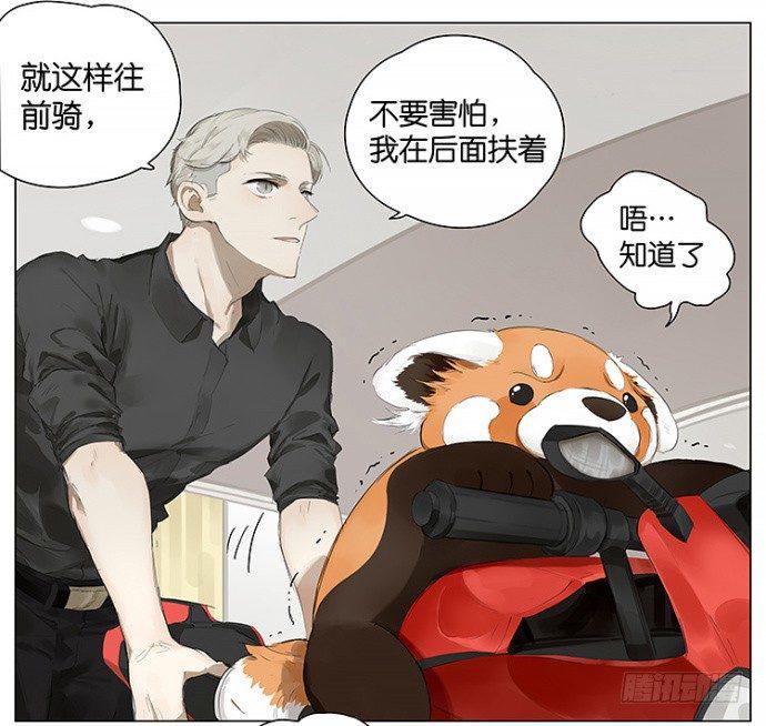 开车11