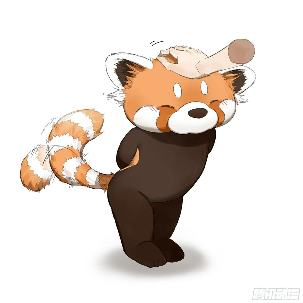 画了一组小熊猫4