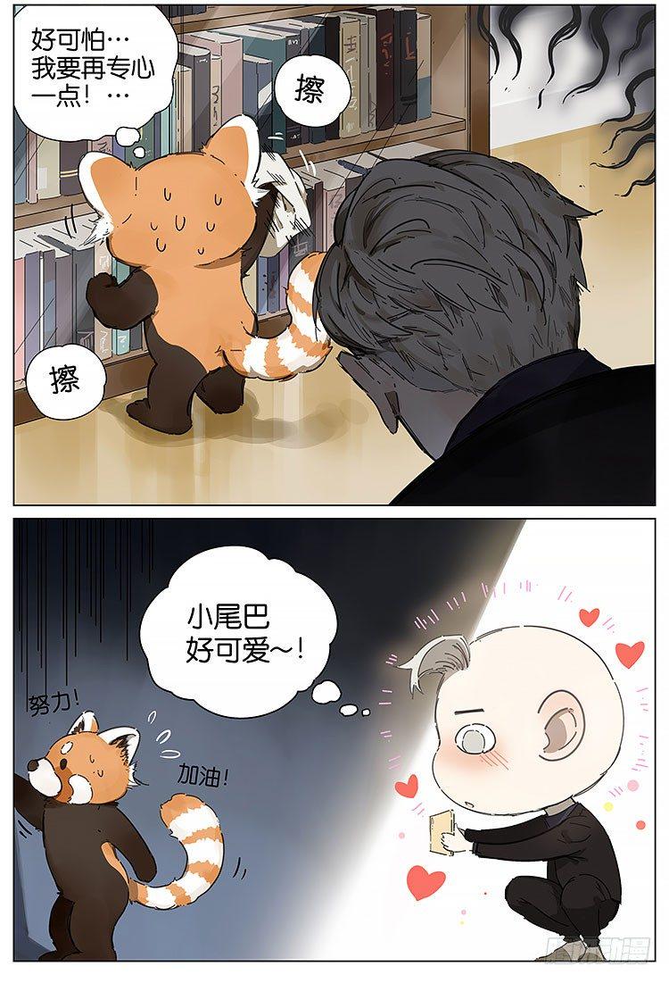 小熊猫3
