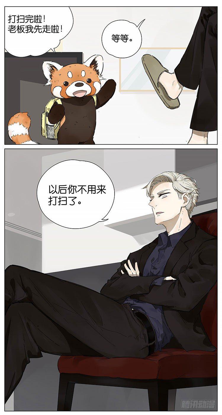 小熊猫4