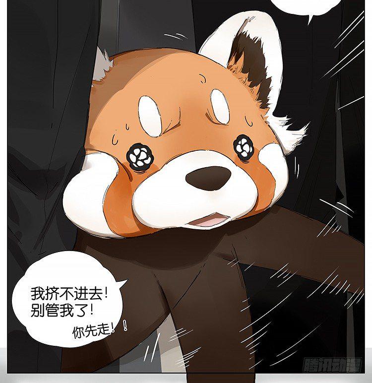 公司10