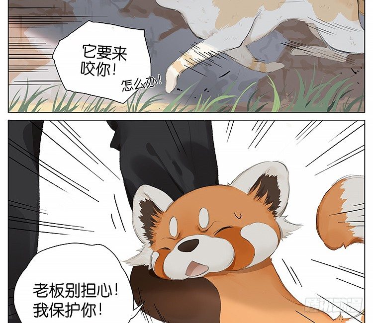流浪猫15
