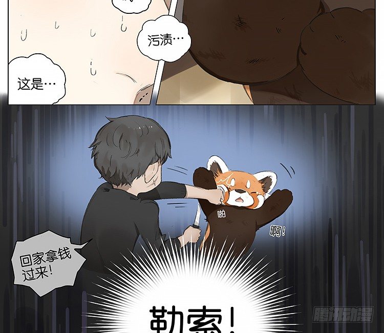 流浪猫6