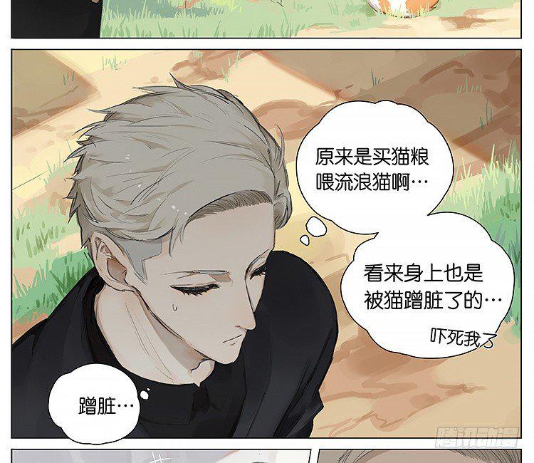 流浪猫10