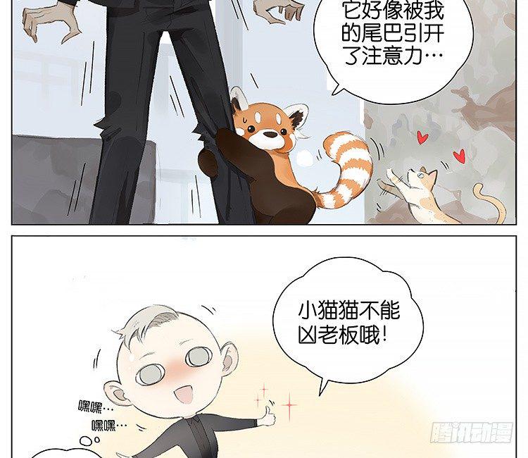 流浪猫17