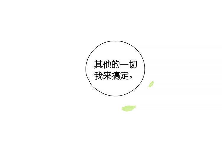 小熊猫11