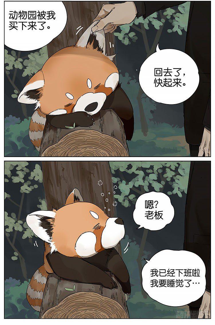 逛动物园5