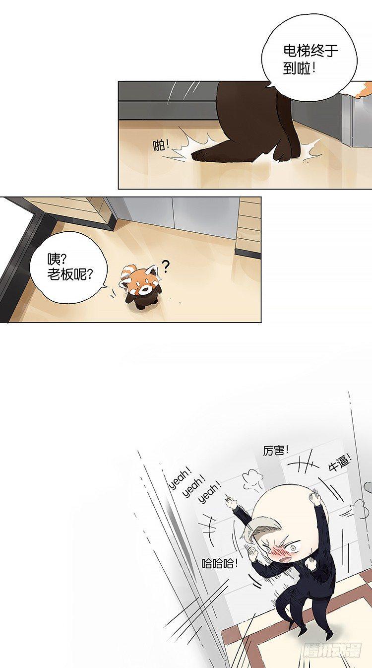 公司12