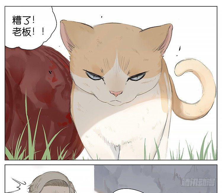 流浪猫13