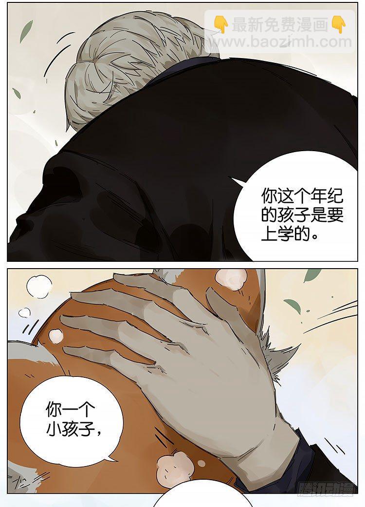 小熊猫9