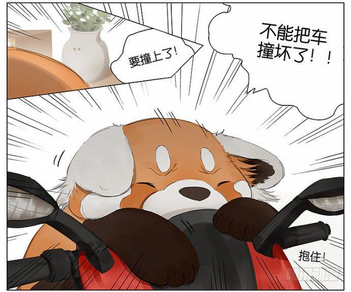 开车14