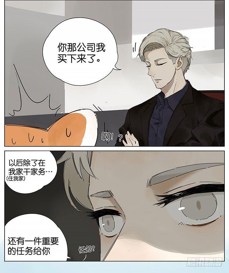 小熊猫7