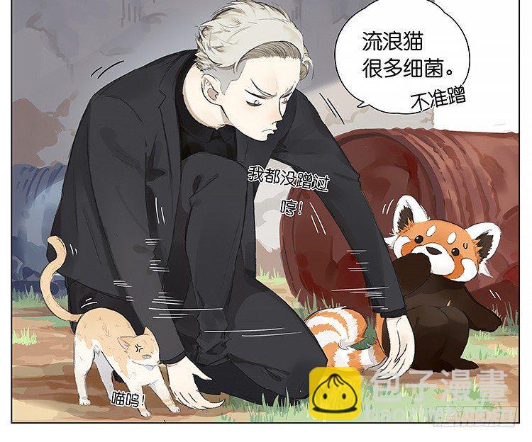 流浪猫12