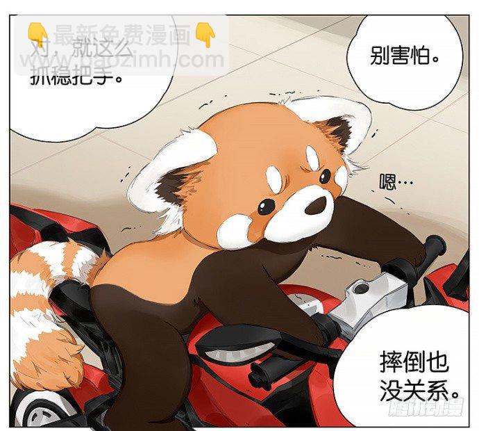 开车4