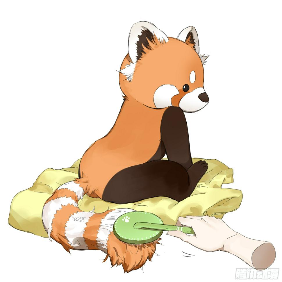 画了一组小熊猫14