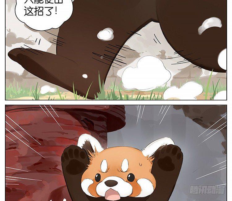 流浪猫2