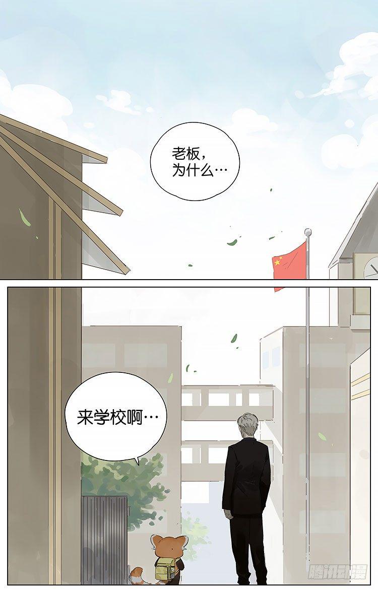 小熊猫8