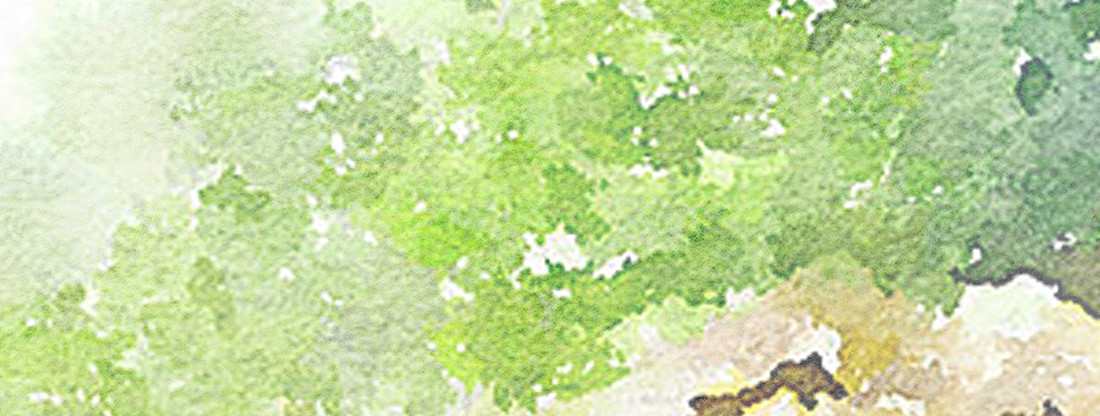 我穿越到了凶案现场？！67