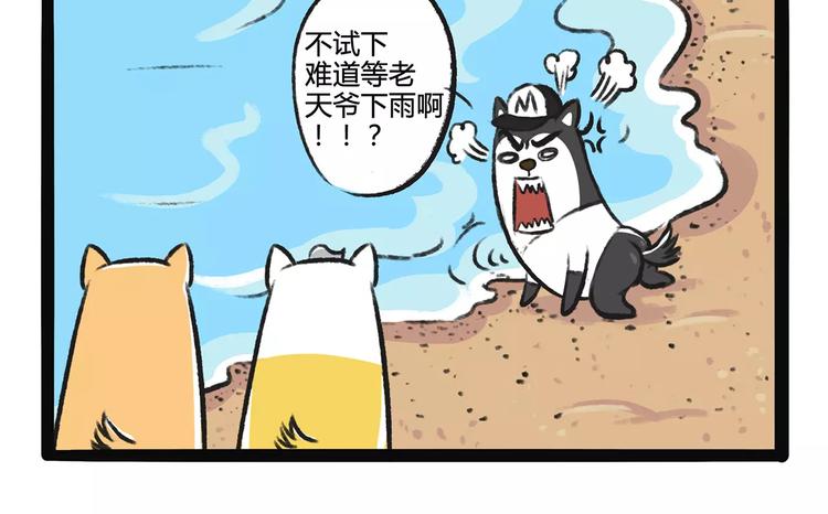 第9话 鲁滨狗22
