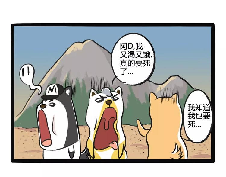 第9话 鲁滨狗19