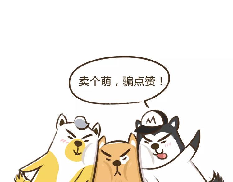 第8话 女人是老虎8