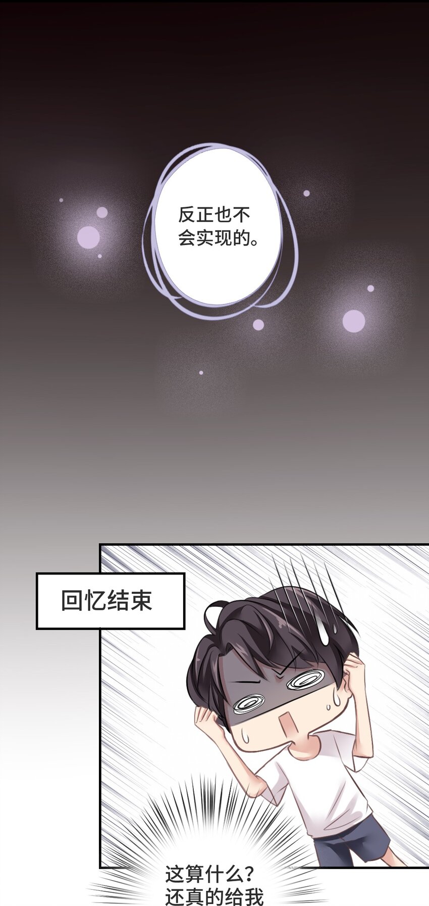 001 流星20